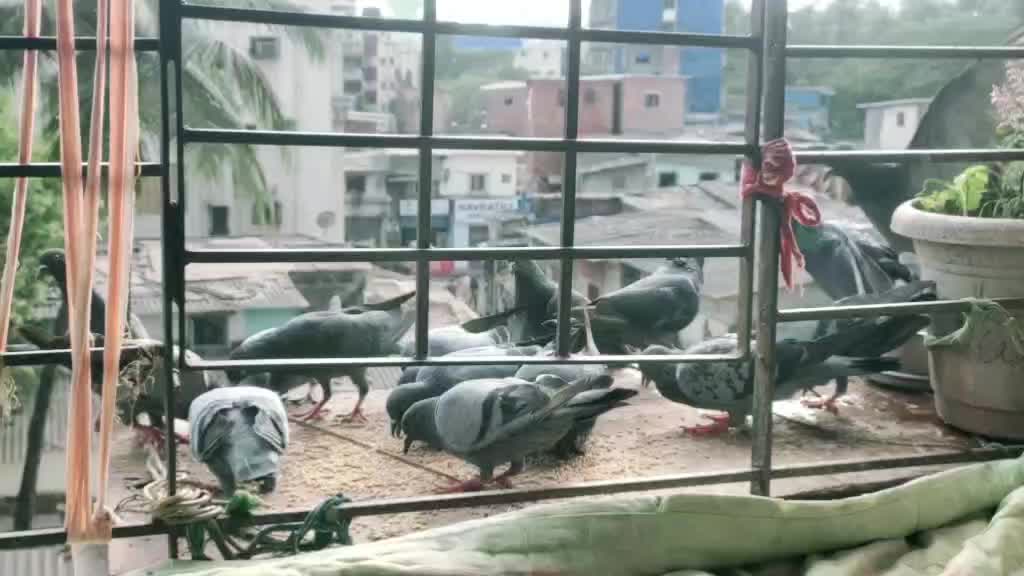 @Krishna Waghela