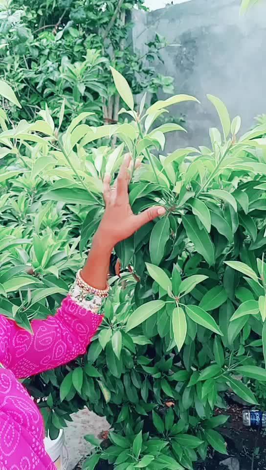 @Ujwala Gujar