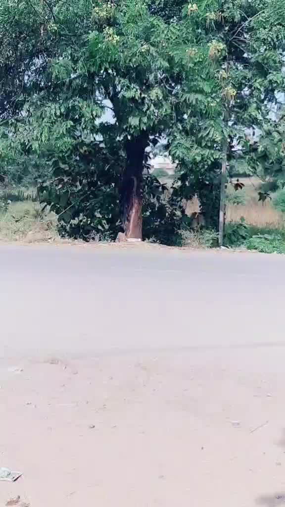 @mona_darling