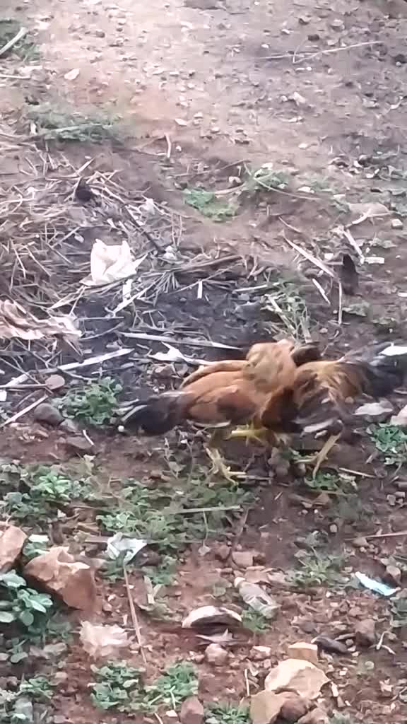 @user9967282043731