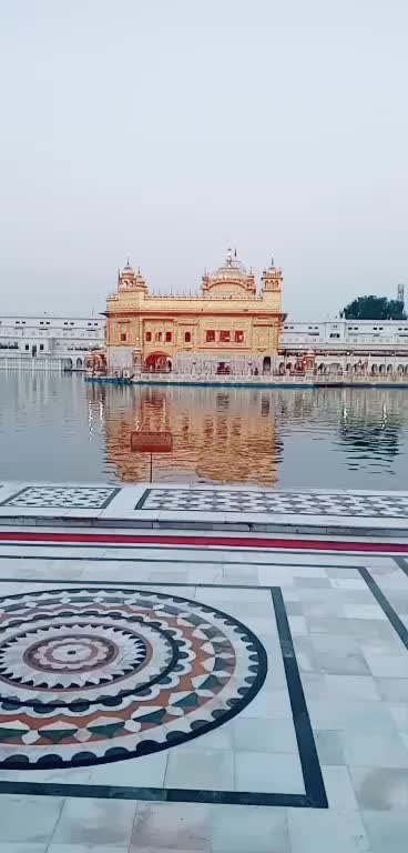 @Avjeet nijjar