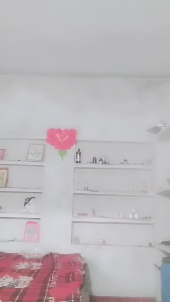 @user41585051102