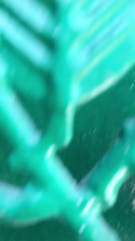 @user89308925526