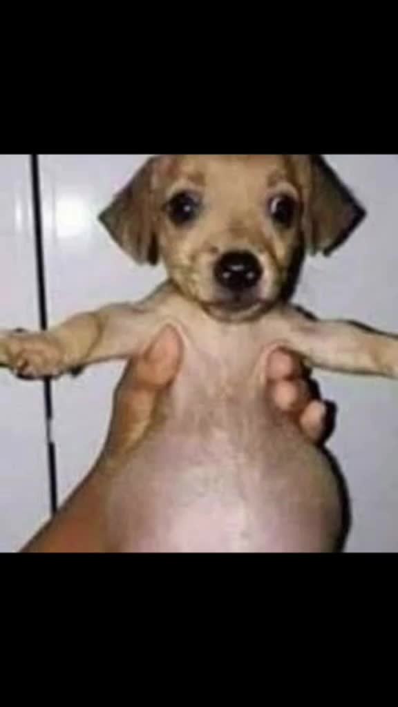 @&ntilde;