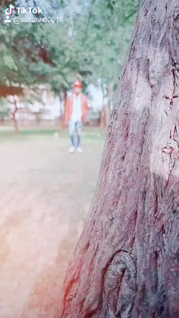 @⇆ㅤ◁ㅤ ❚❚ㅤ ▷ㅤ↻