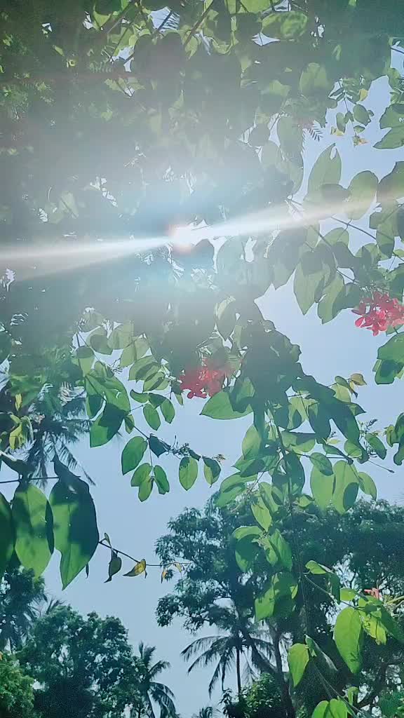 @pari.1399422