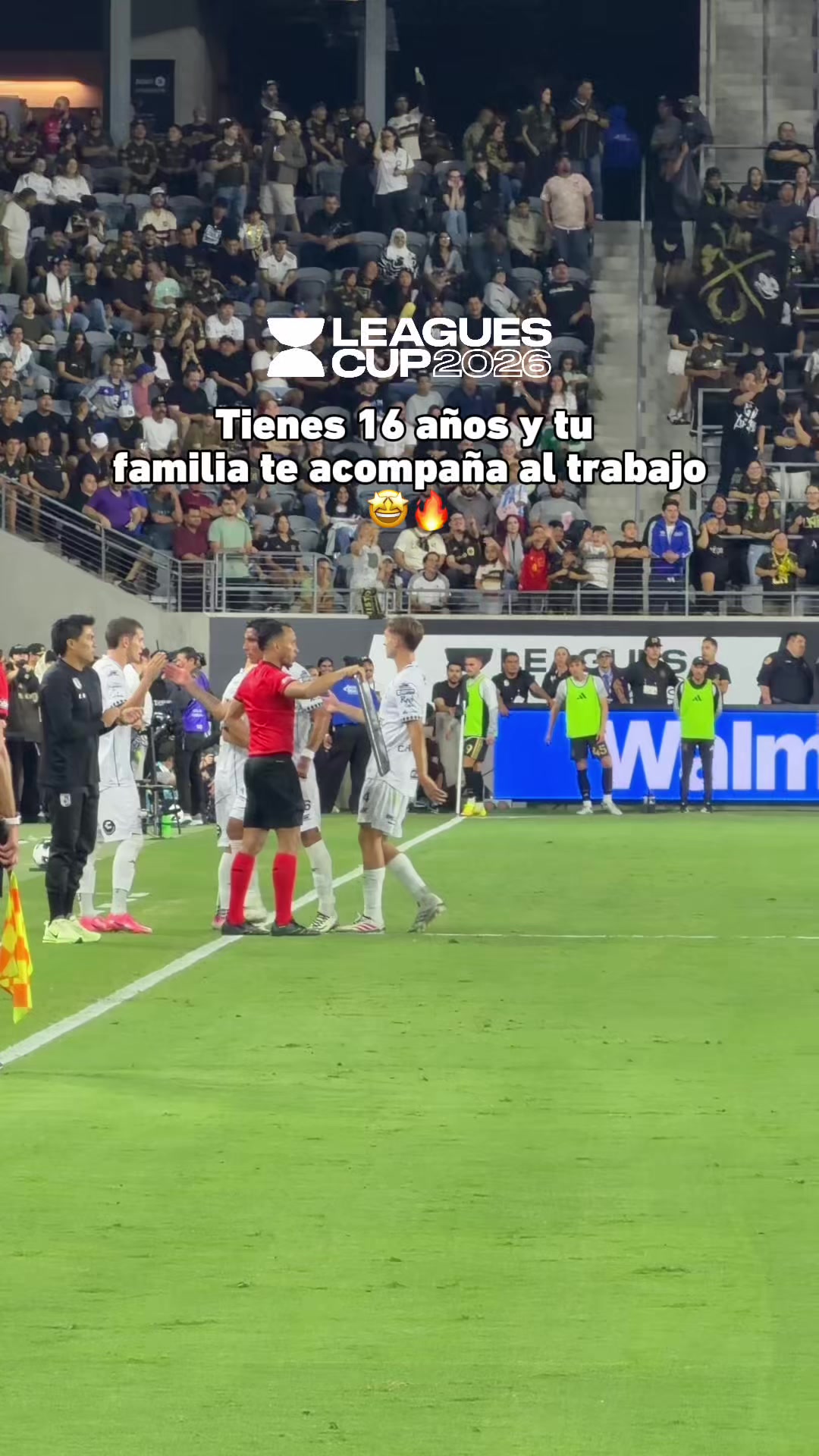 @Liga BBVA MX