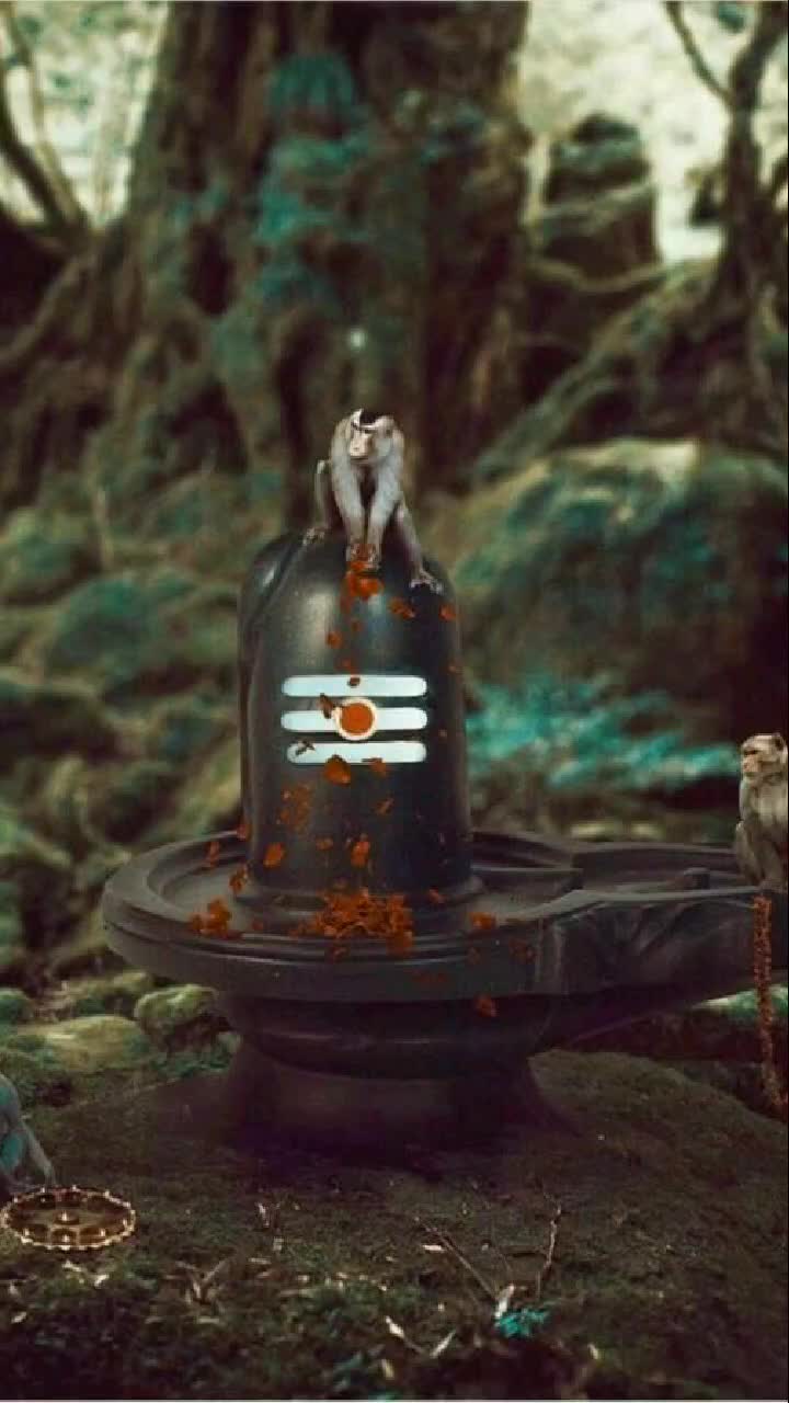 @riddhibhardwaj1315