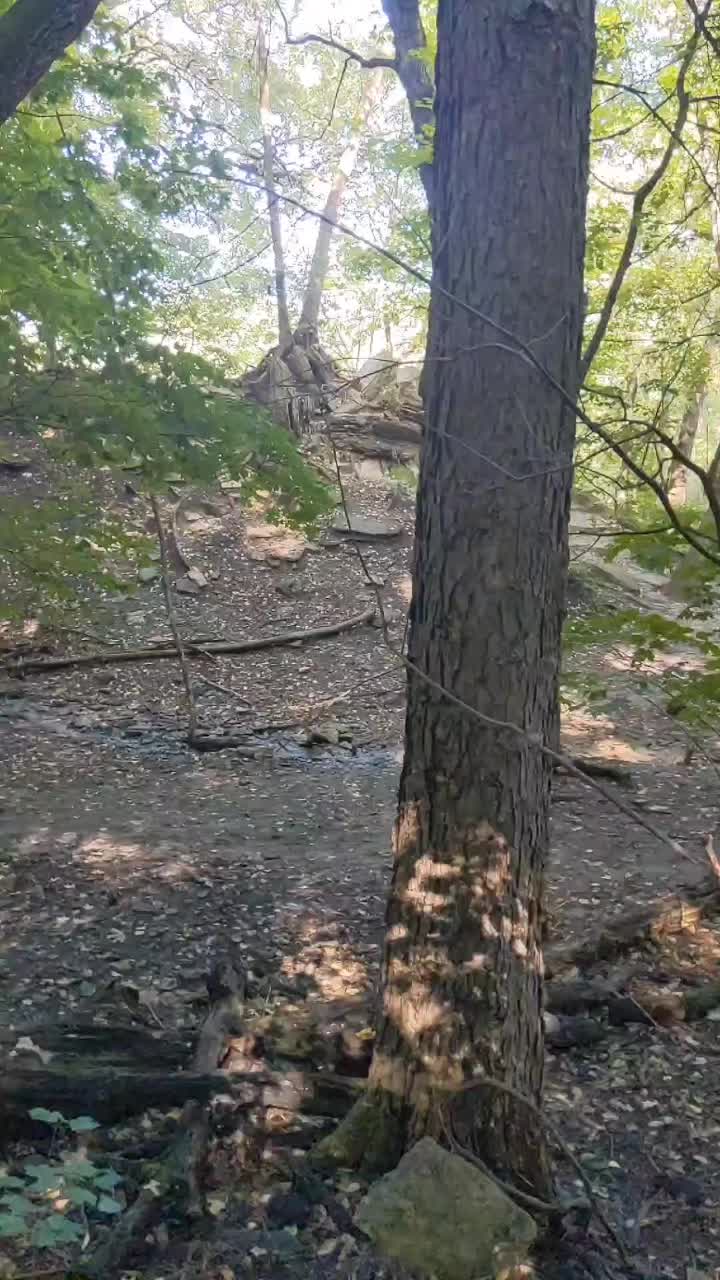 @Nichelle Bottko Woods