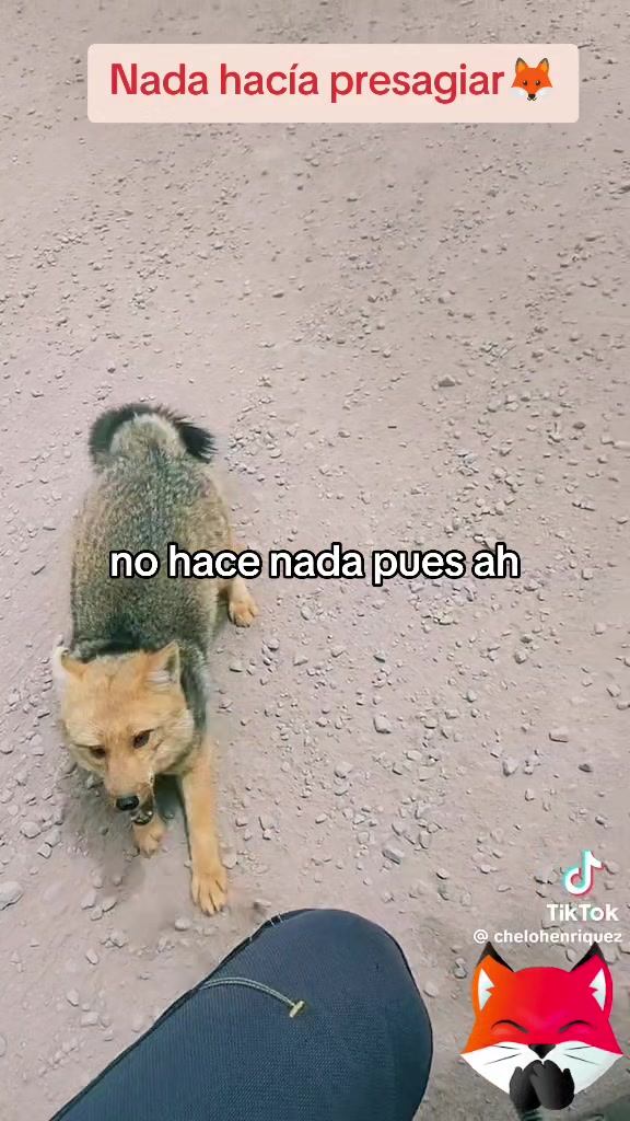 @Adolfo Miranda