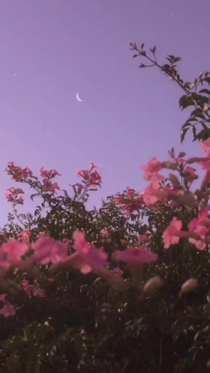 @psa.daliy