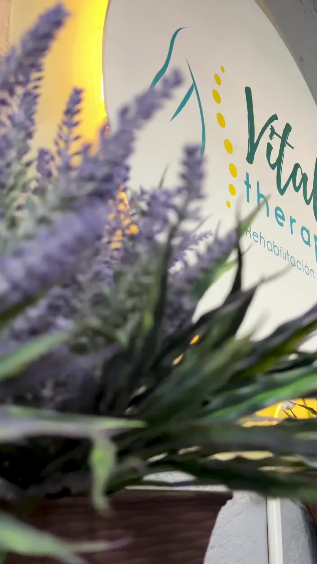 @Vital Therapy