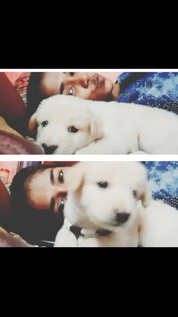 @🔥Kutty💙 Ammu💙👑