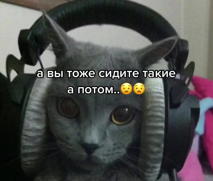 @я миссклик