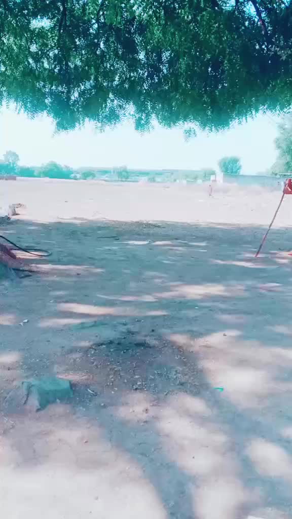 @rukhsar khan