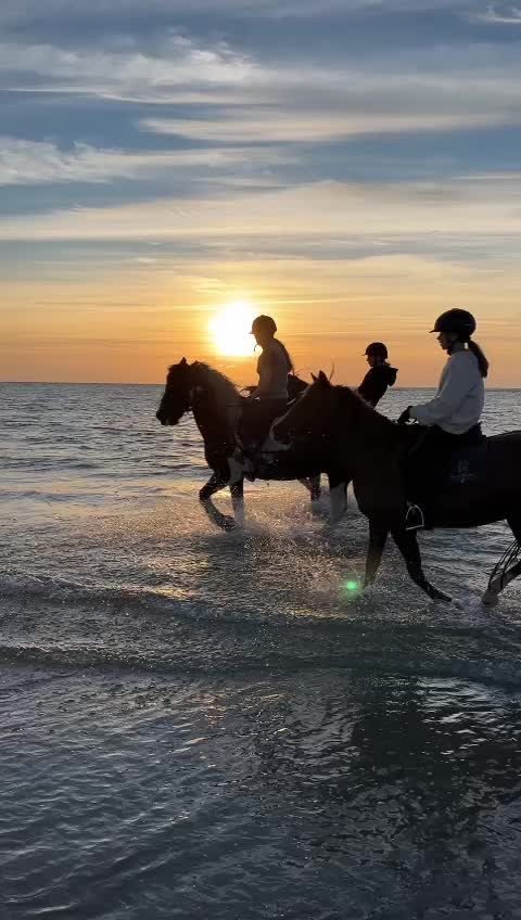 @reiterhof.andresen.amrum