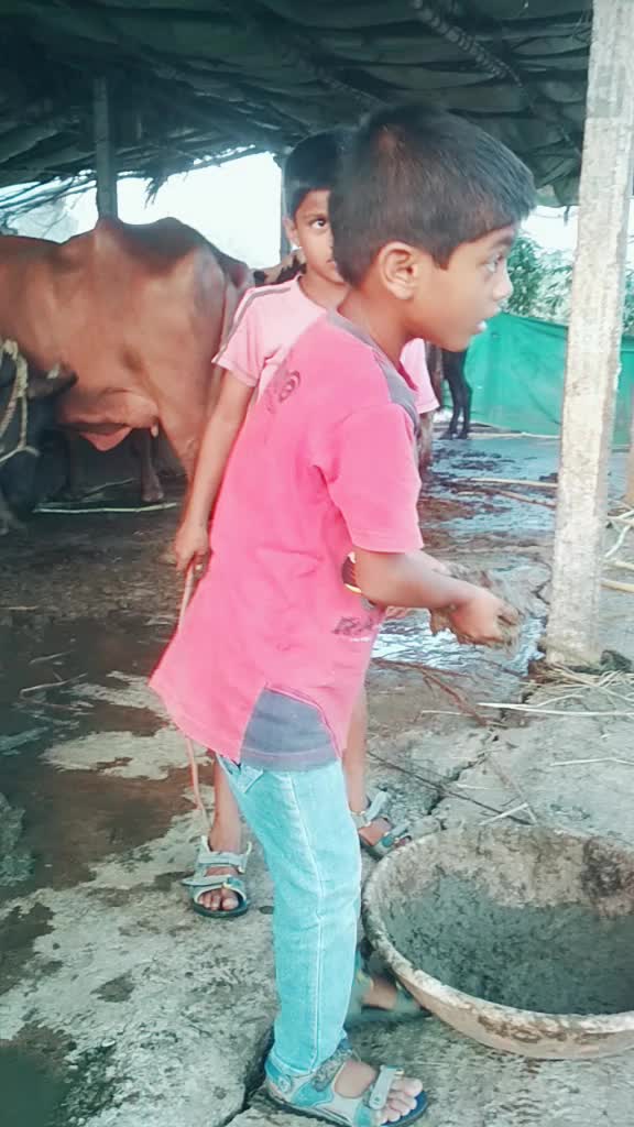 @premalathareddy