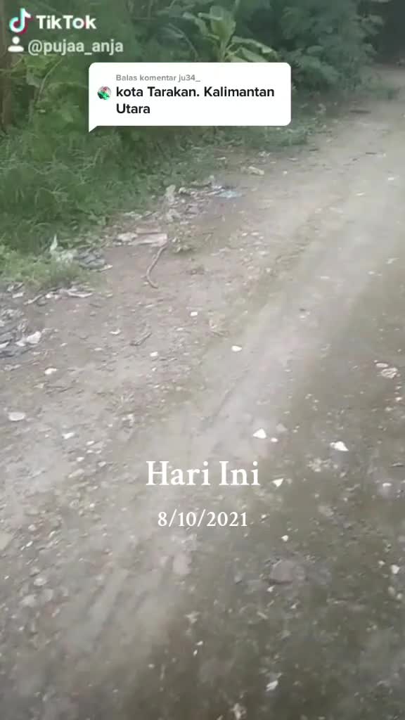 @perdi siti