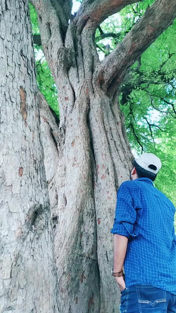 @karthikcake