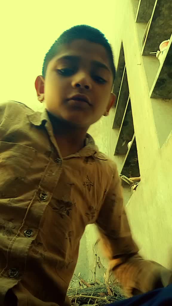 @amba lal gadri