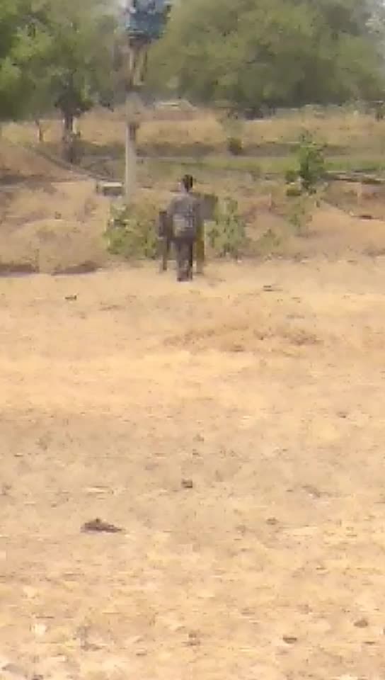 @kamalrachakatla