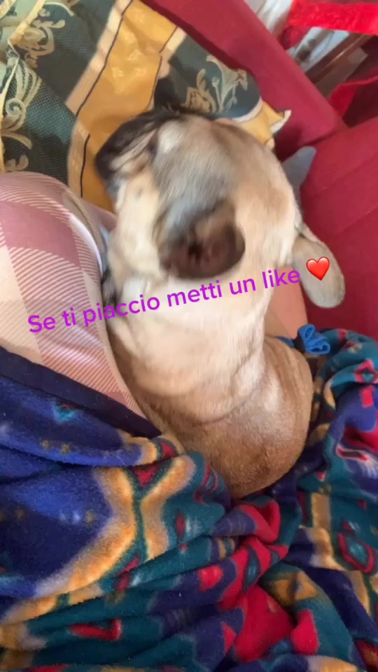 @Valentina Pigliacell