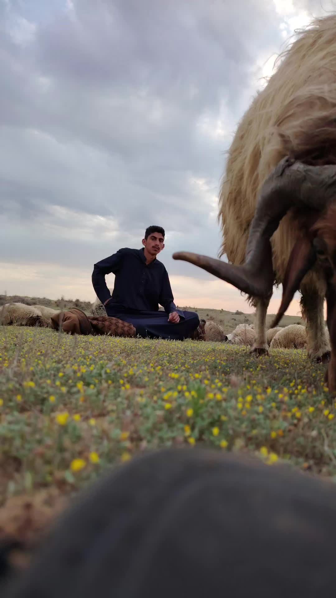 @أحمد الركاض اليوسف📸🍂