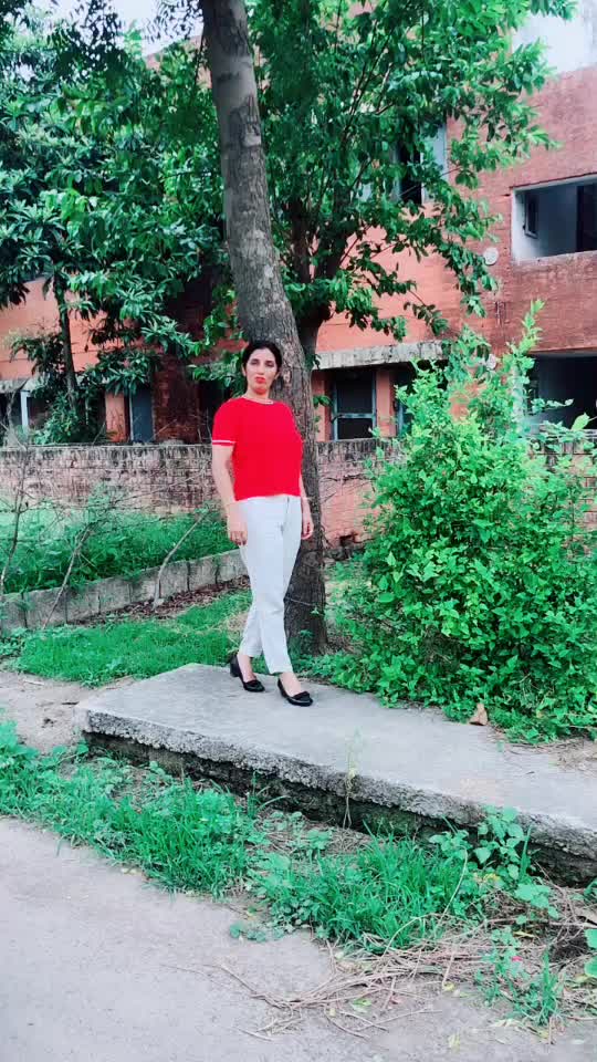 @user57463535900