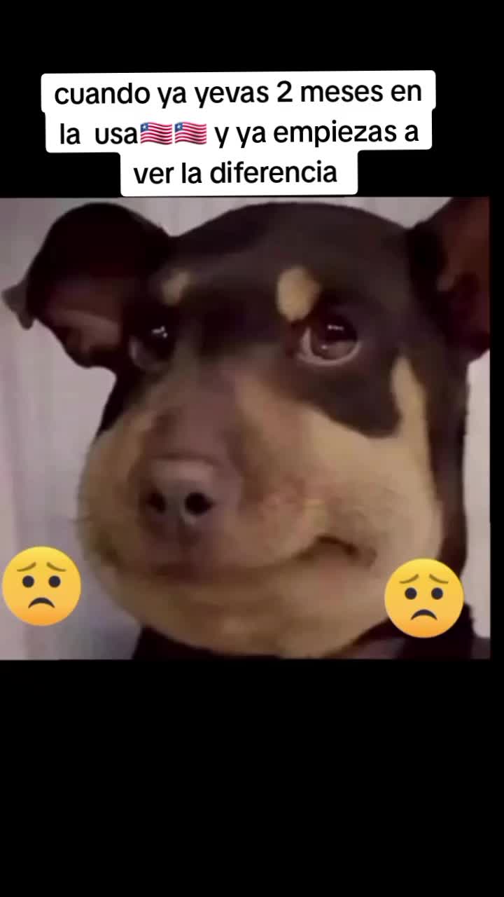 @payasito ☘️🥷🇱🇷🇬🇹
