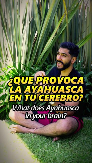 @JC Calzada