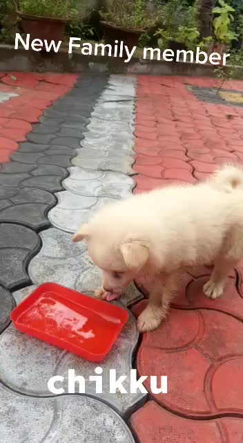 @chandusasidharan