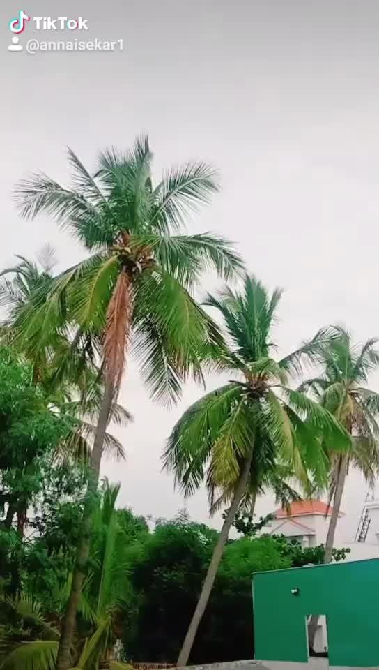 @Rajasekar RS