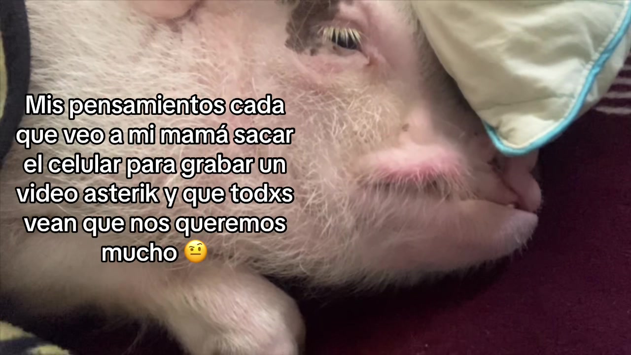 @El Bubustacio 🥵