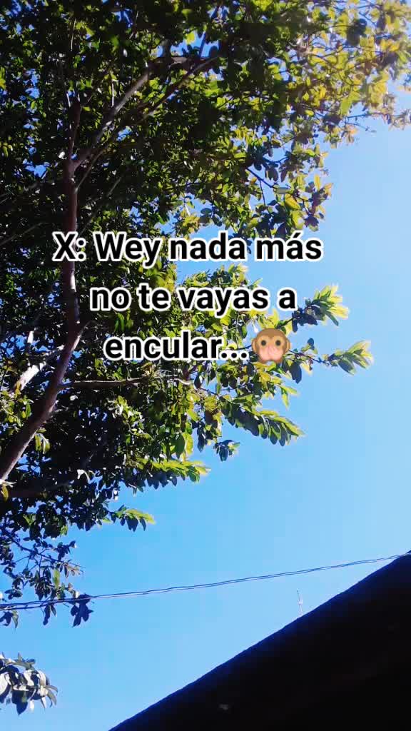 @Mariznolasco
