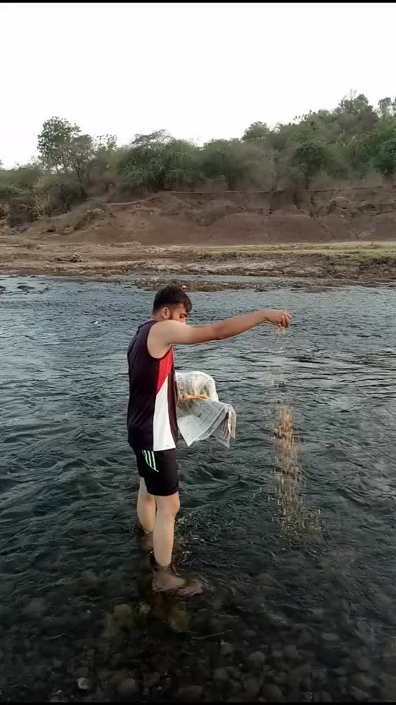 @tiger
