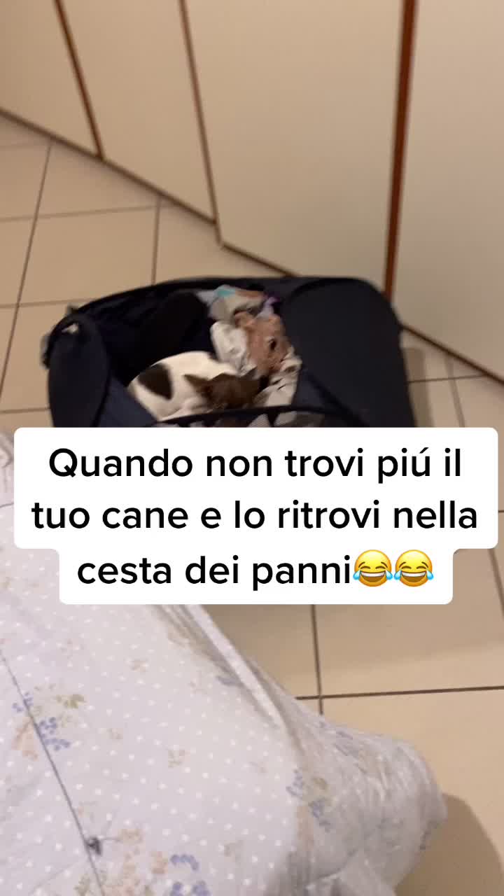 @Ilaria