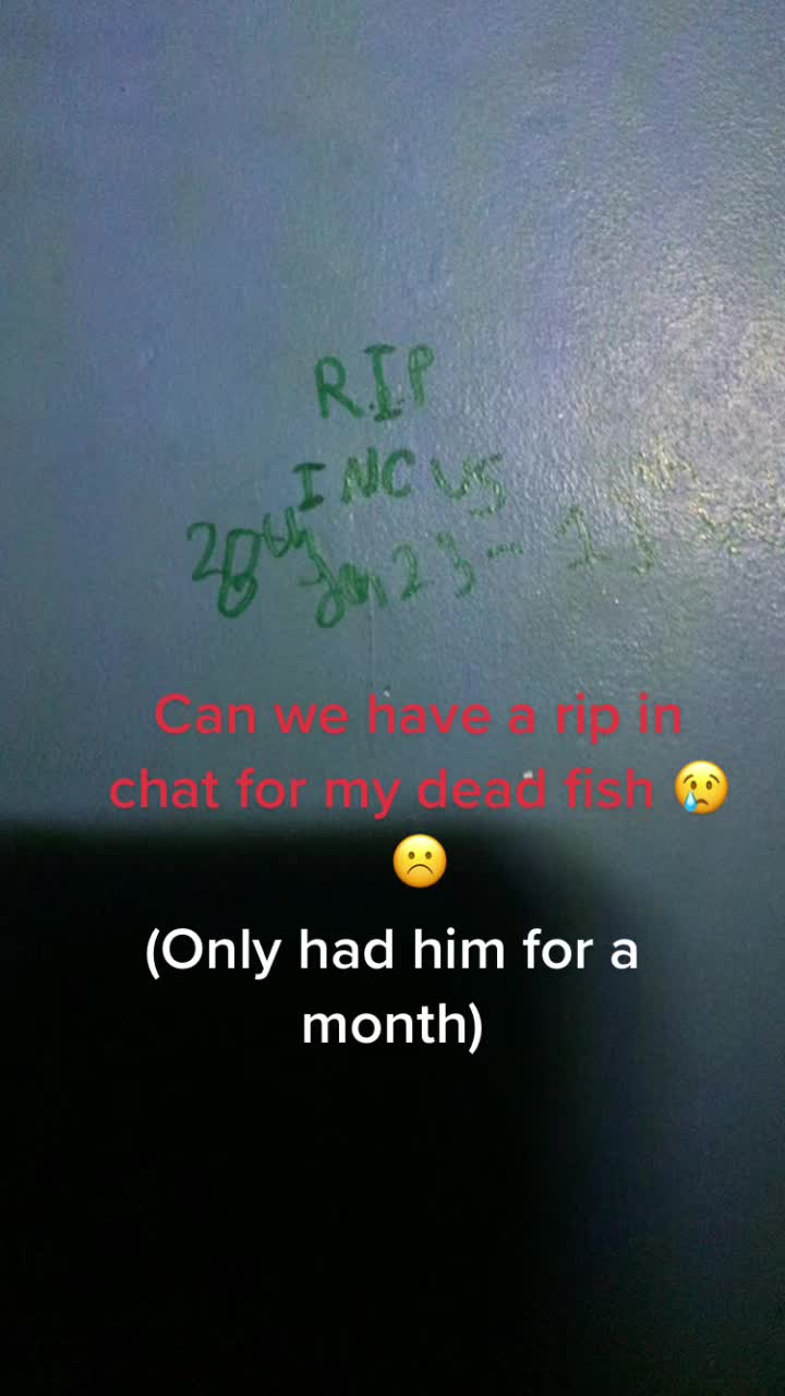@MagmaticOps