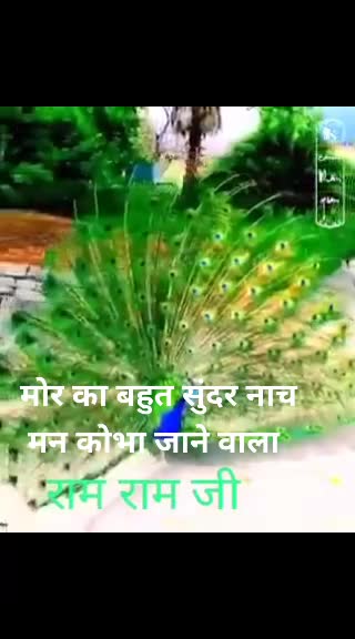 @Mohan Ram