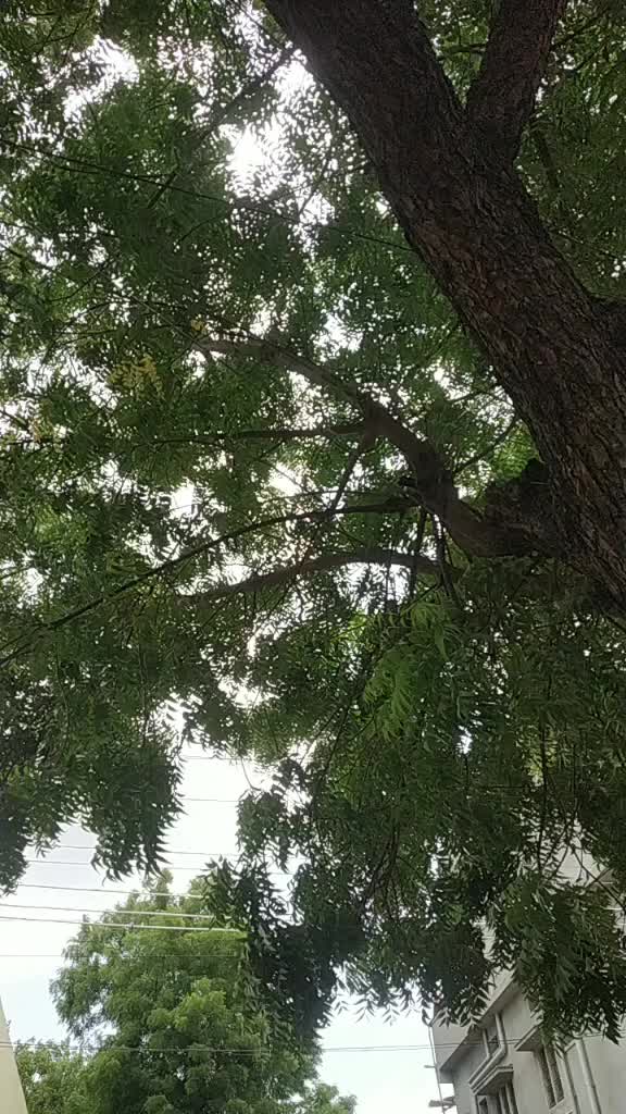@pavanbalu