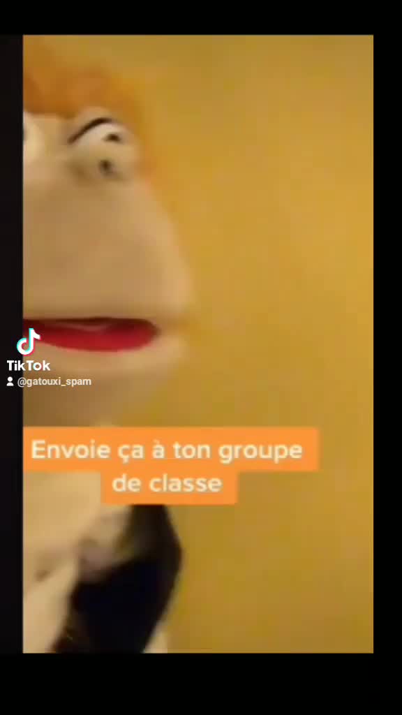 @notifications