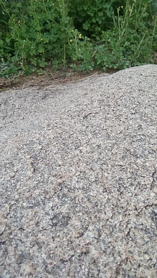 @Shivaraj Hampi