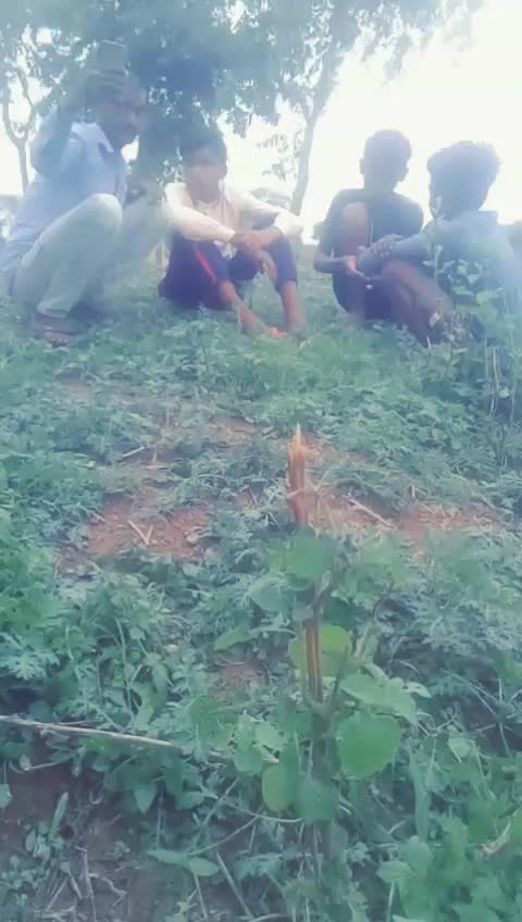 @user21193815218
