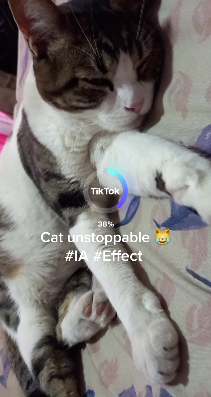 @Animales reales