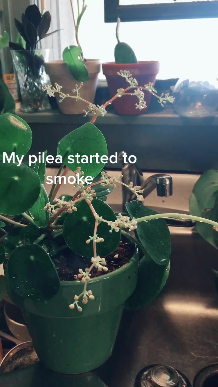 @T