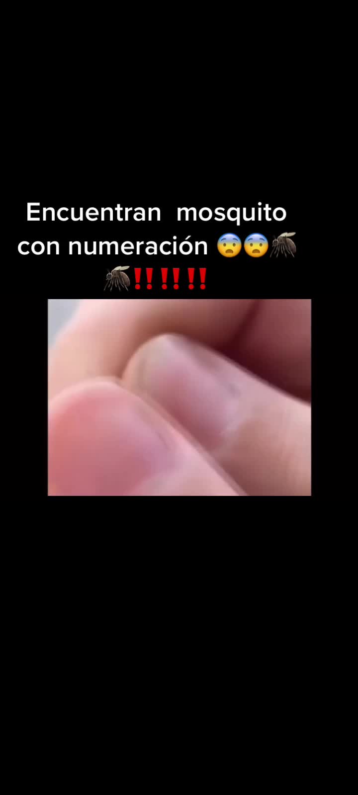 @alonsocotaquintero