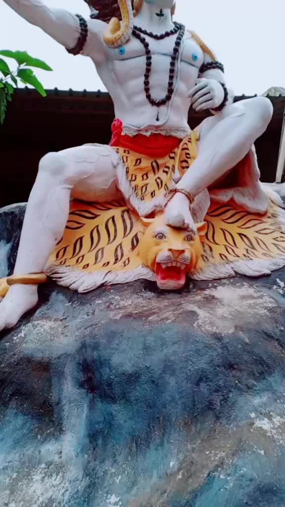 @user271460