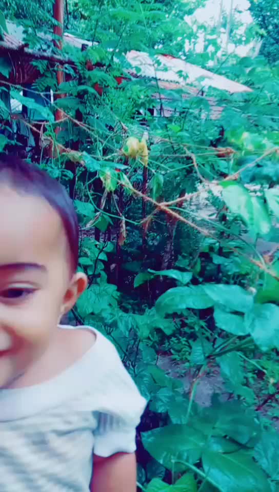 @കൃഷ്ണായനം
