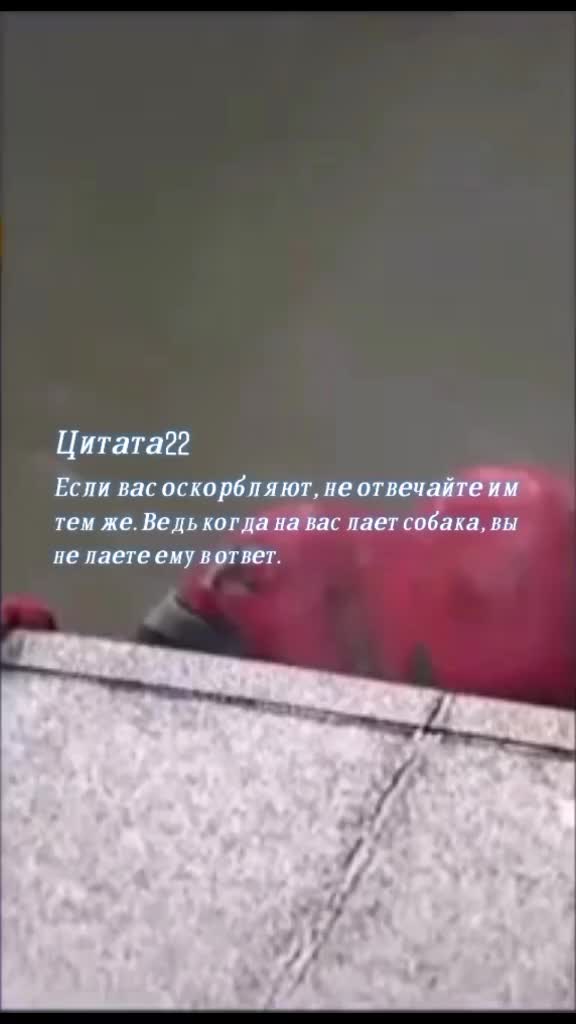 @Yapoteryalakk
