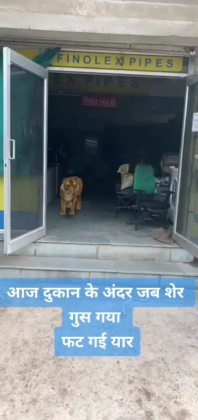@Bhavesh