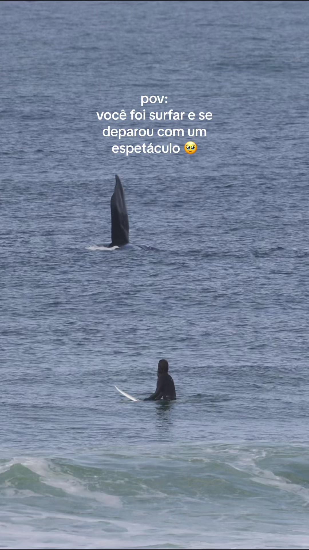 @Partiu Surf 🏄🏽♀️